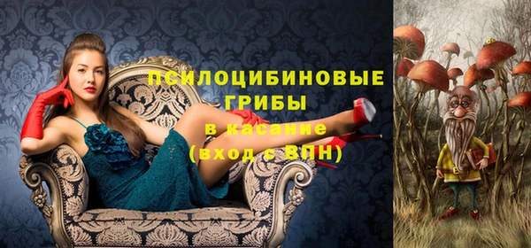 герыч Арсеньев