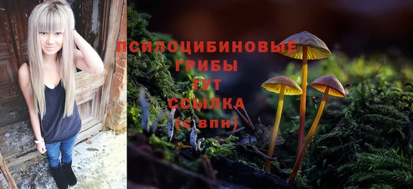 дурь Аркадак