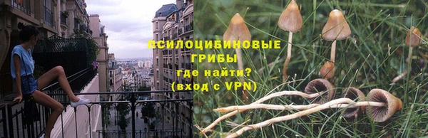 крисы Армянск
