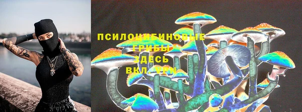 хмурый Балабаново